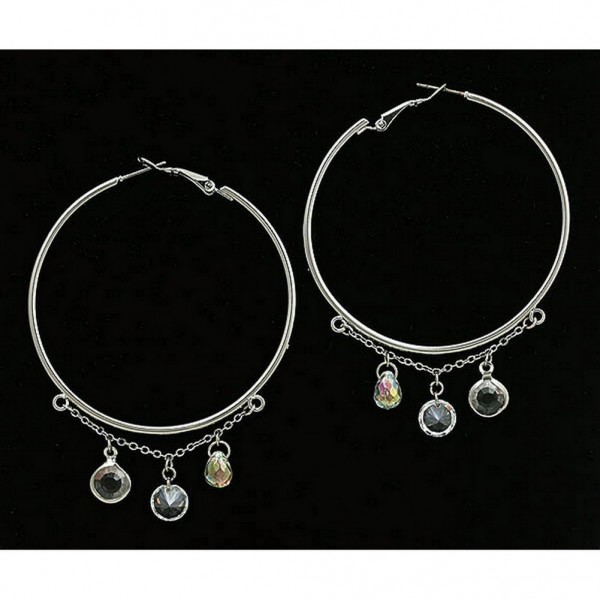 Hoop Earrings w/ dangling CZ Crystals - ER-ACQE1014RC