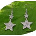 Dangling Rhinestone Earrings - Star - ER-JVSE8689CL